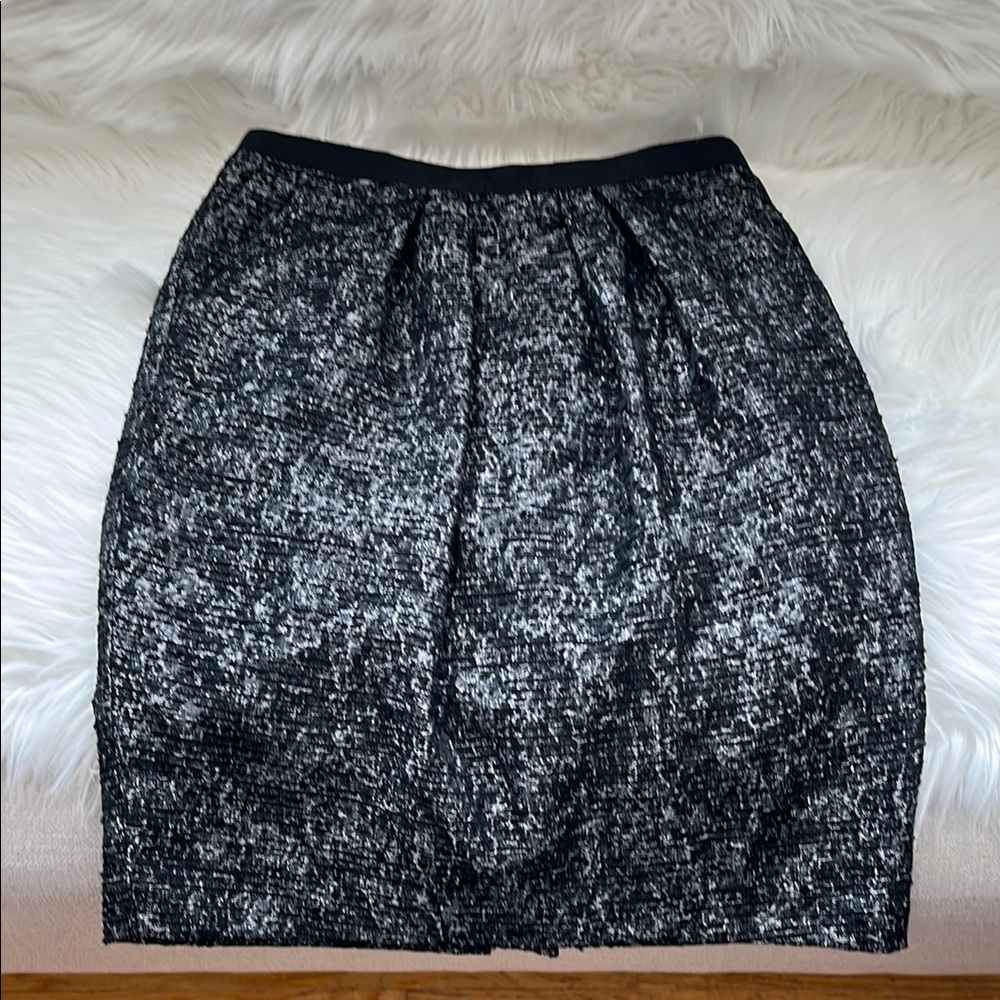 Elegant Black and Silver Women's Skirt